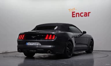 Mustang
