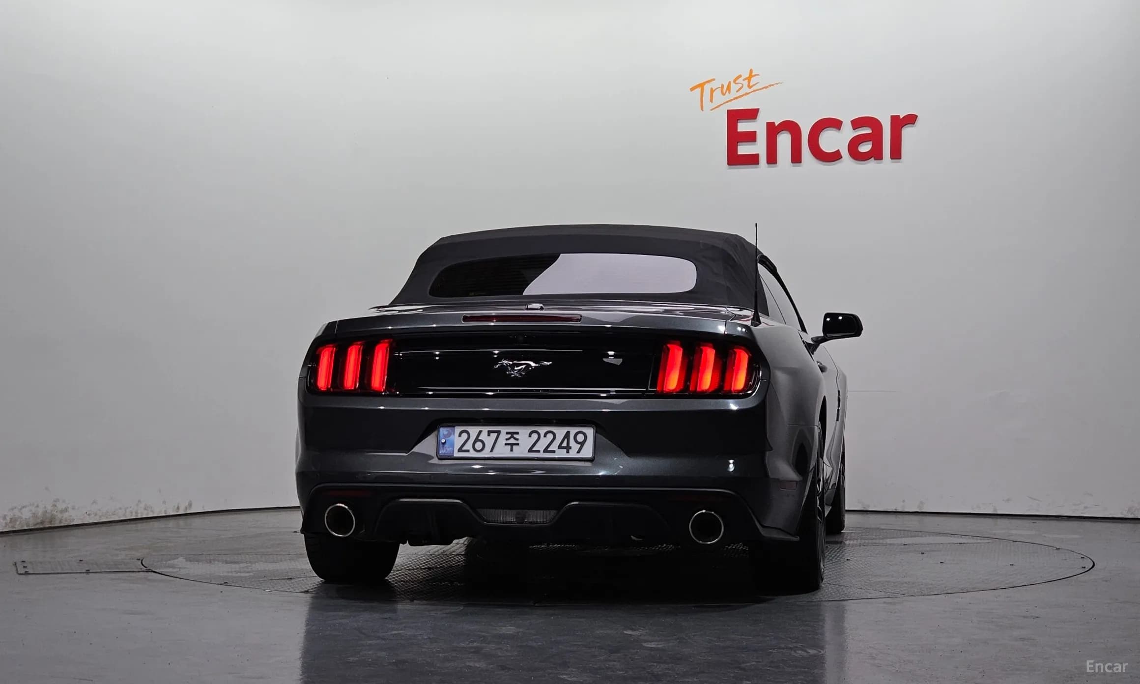 Mustang