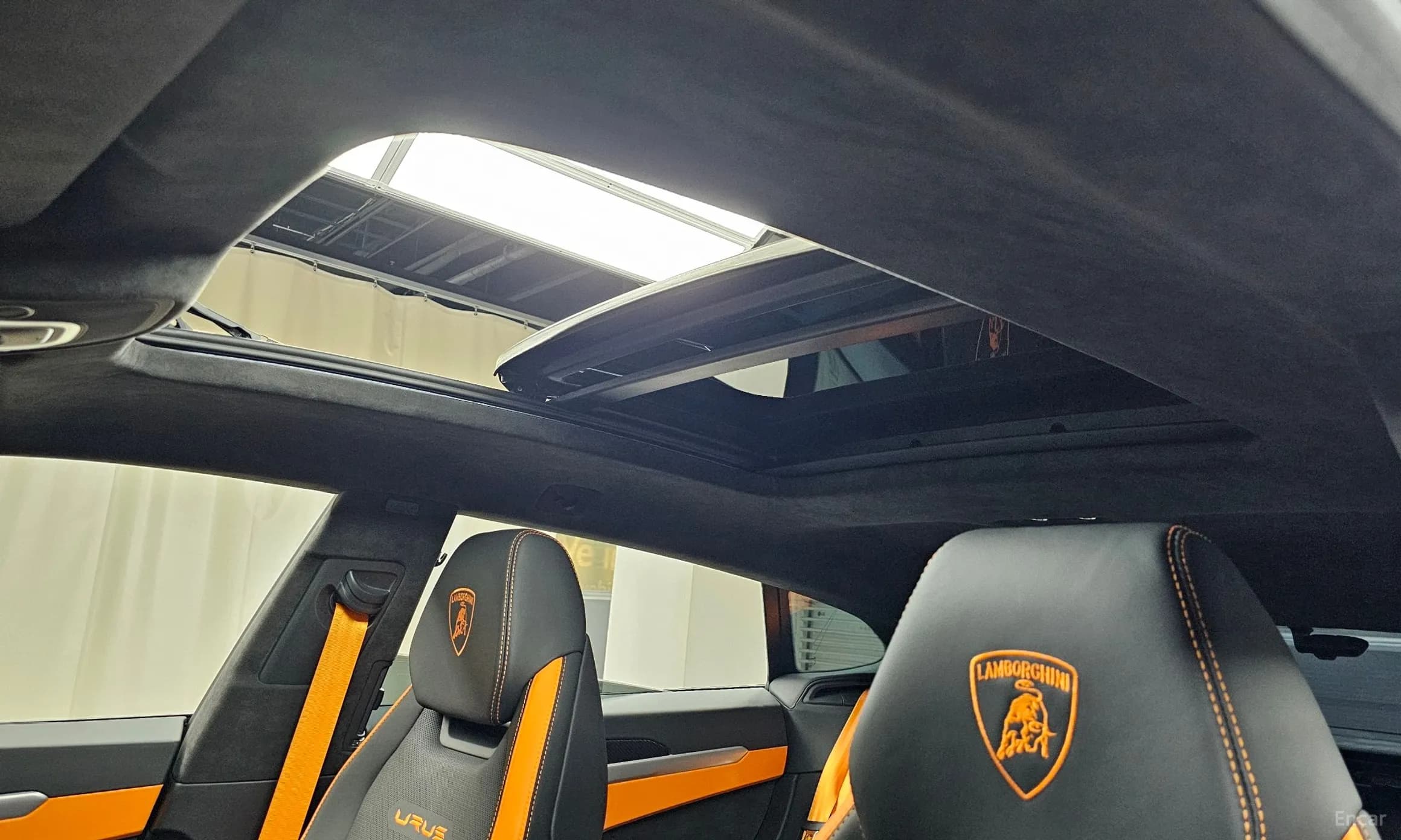 Urus