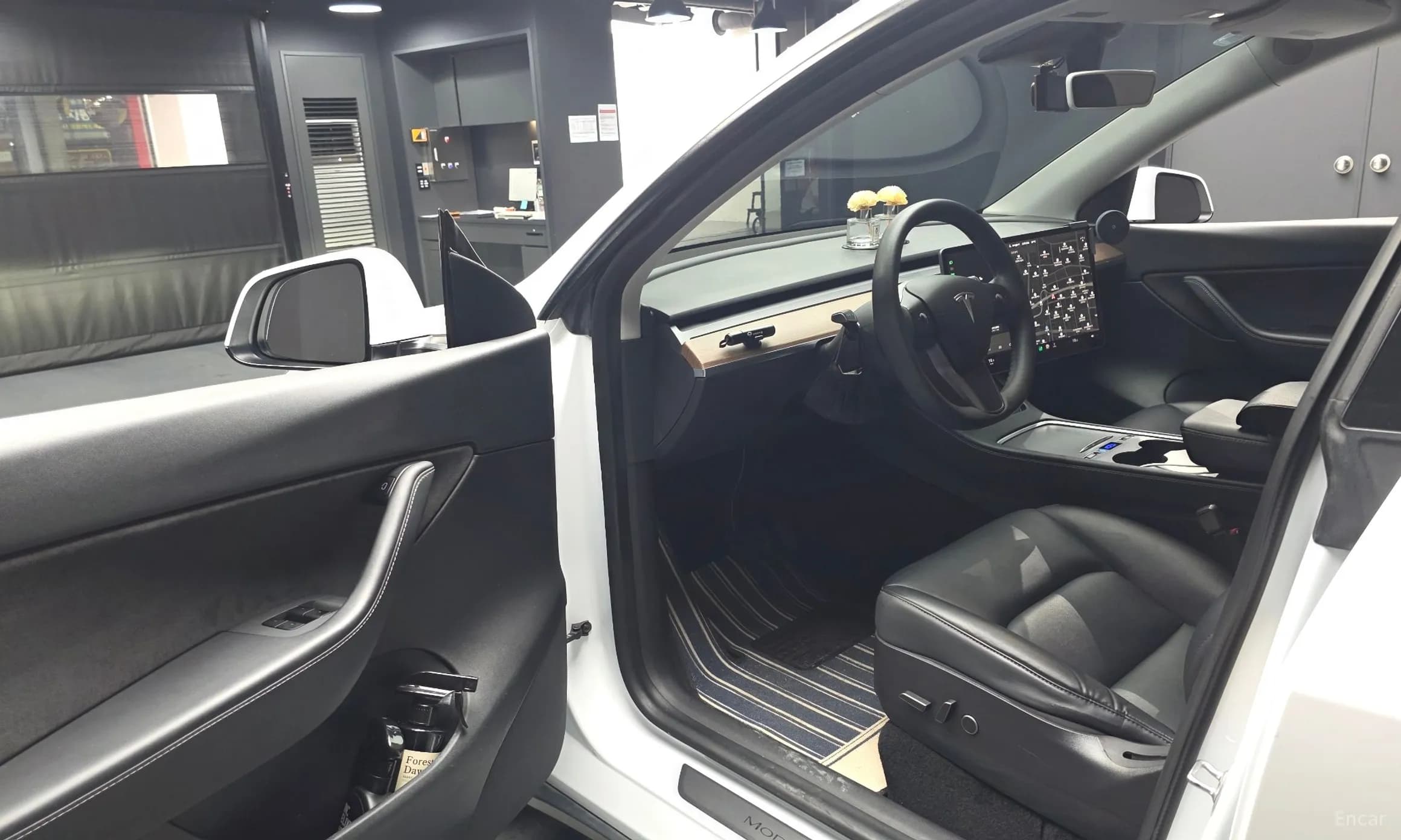 Model Y
