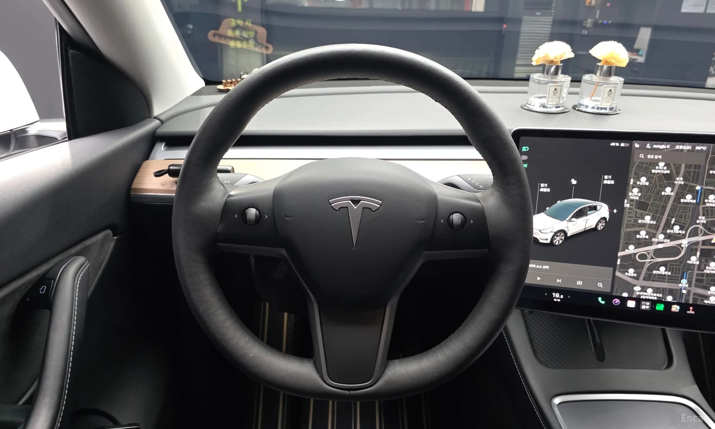 Model Y