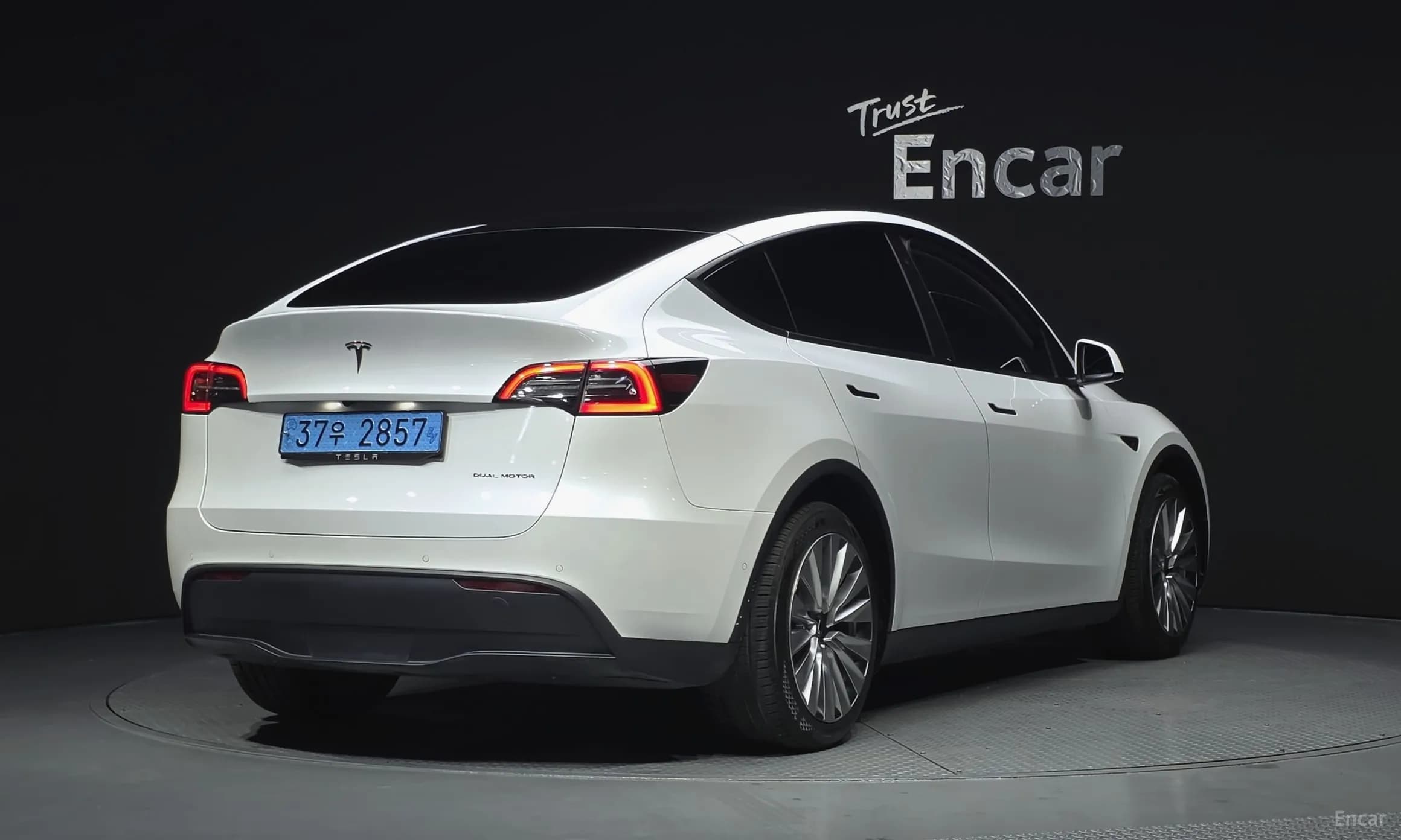 Model Y