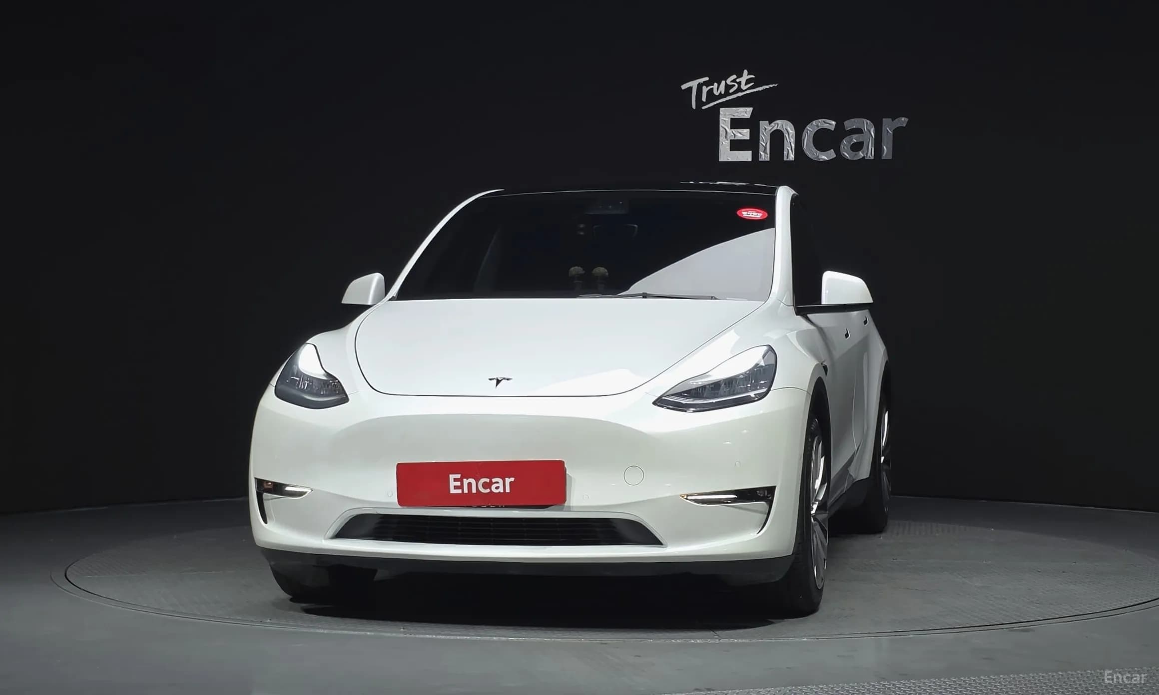 Model Y