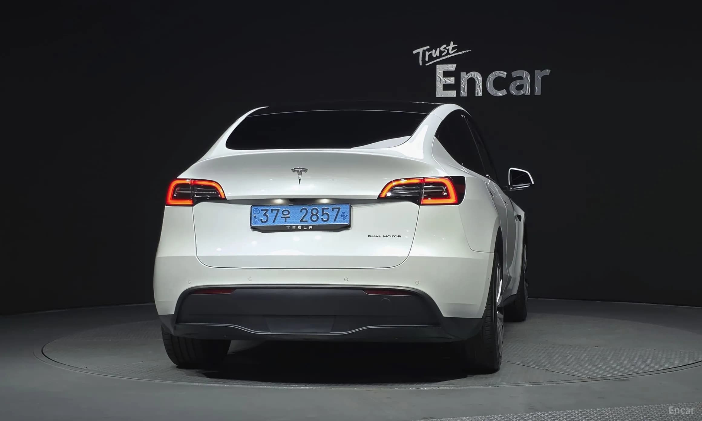 Model Y