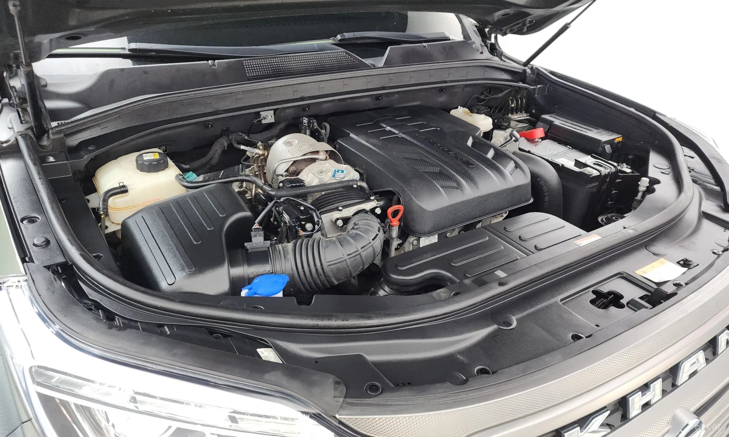 Rexton Sports Khan