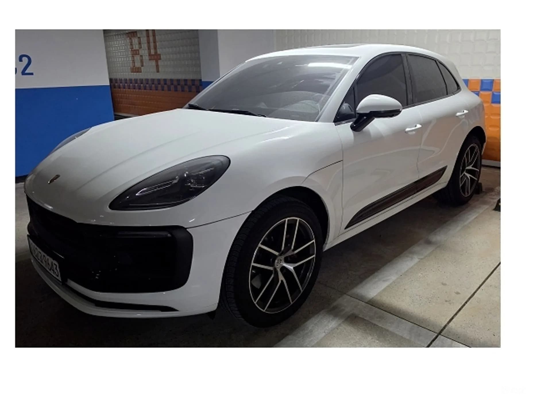 Macan