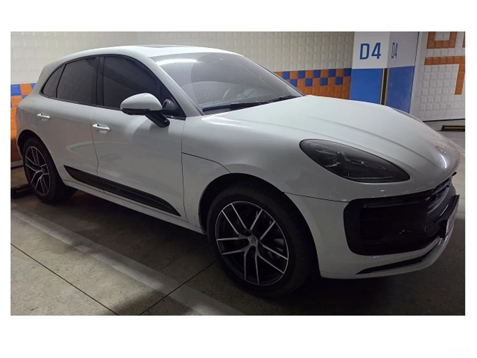 Macan