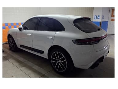 Macan