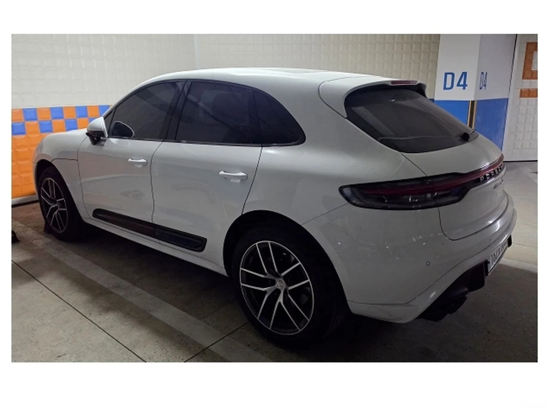 Macan