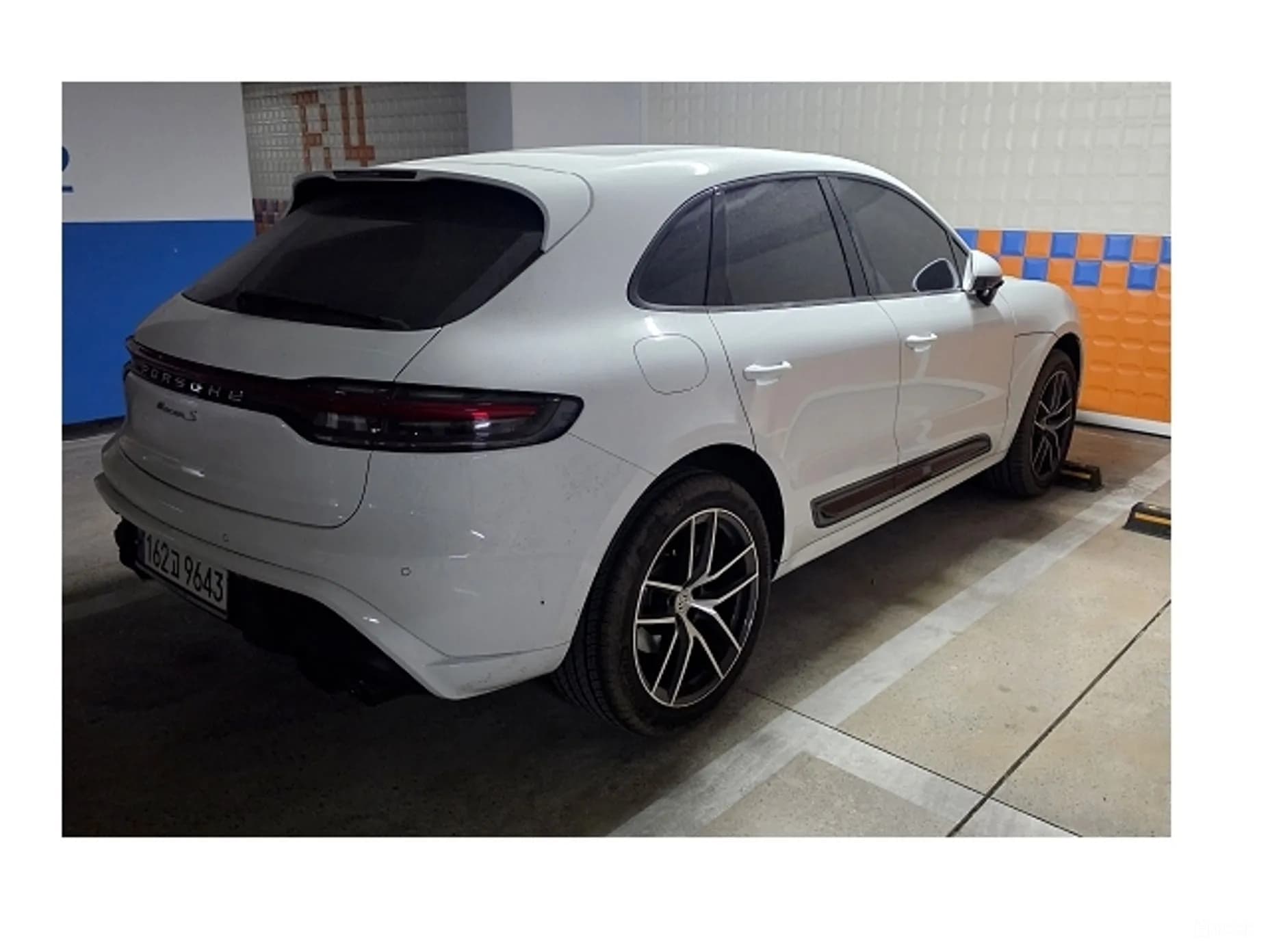 Macan
