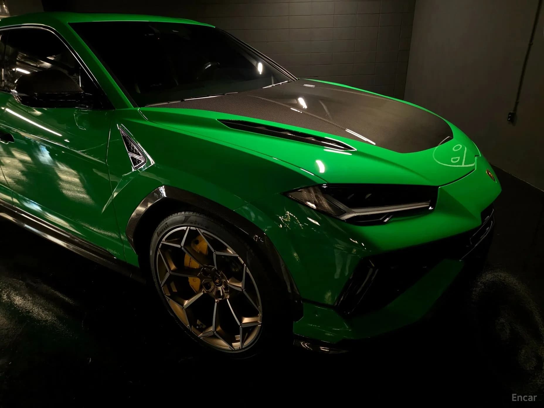 Urus