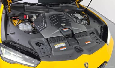 Urus