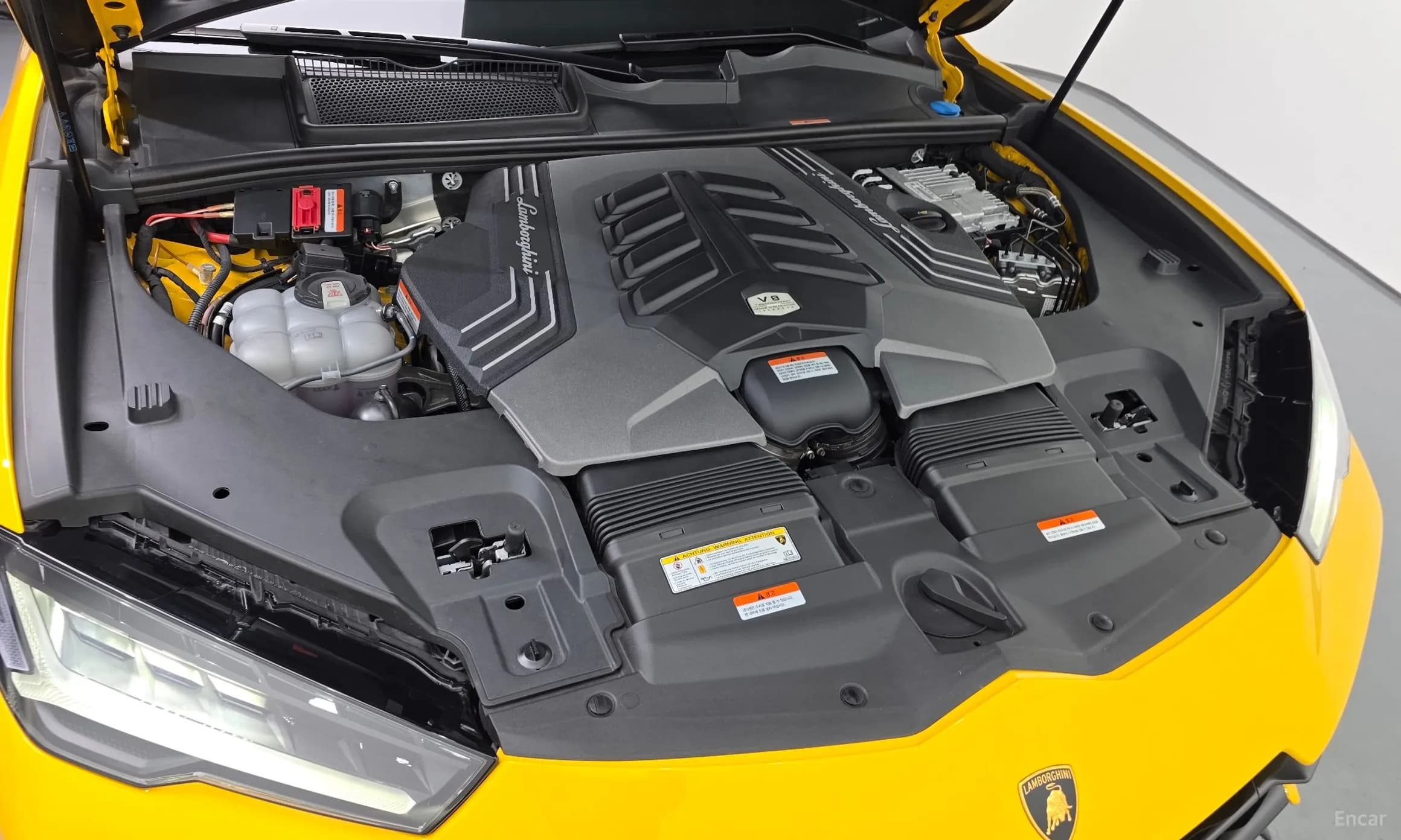 Urus