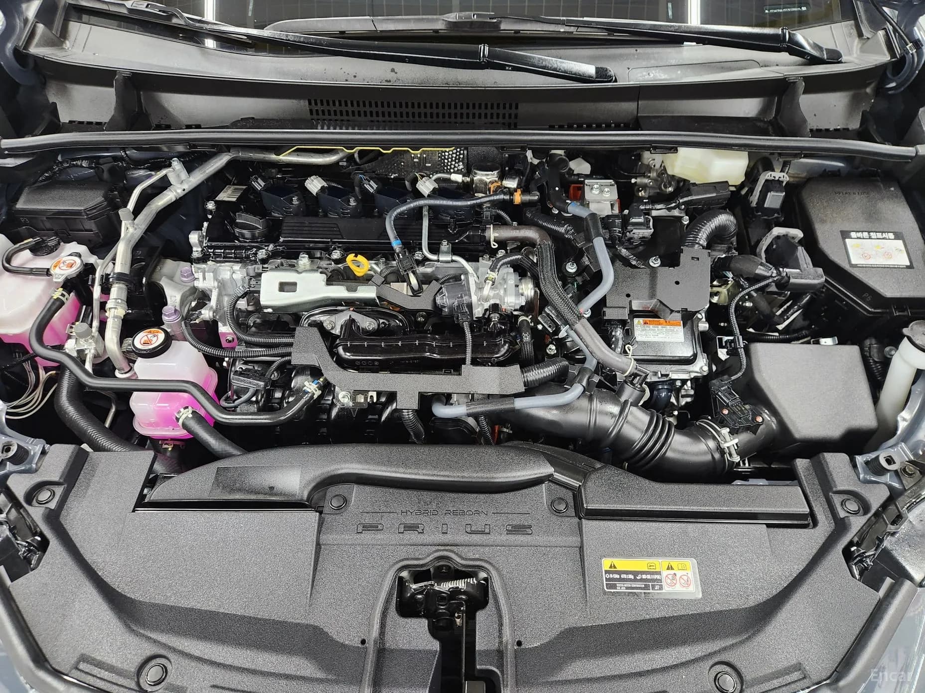 Prius 5th Generation