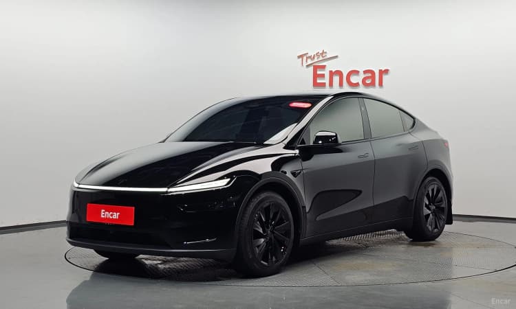 Model Y