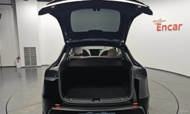 Model Y