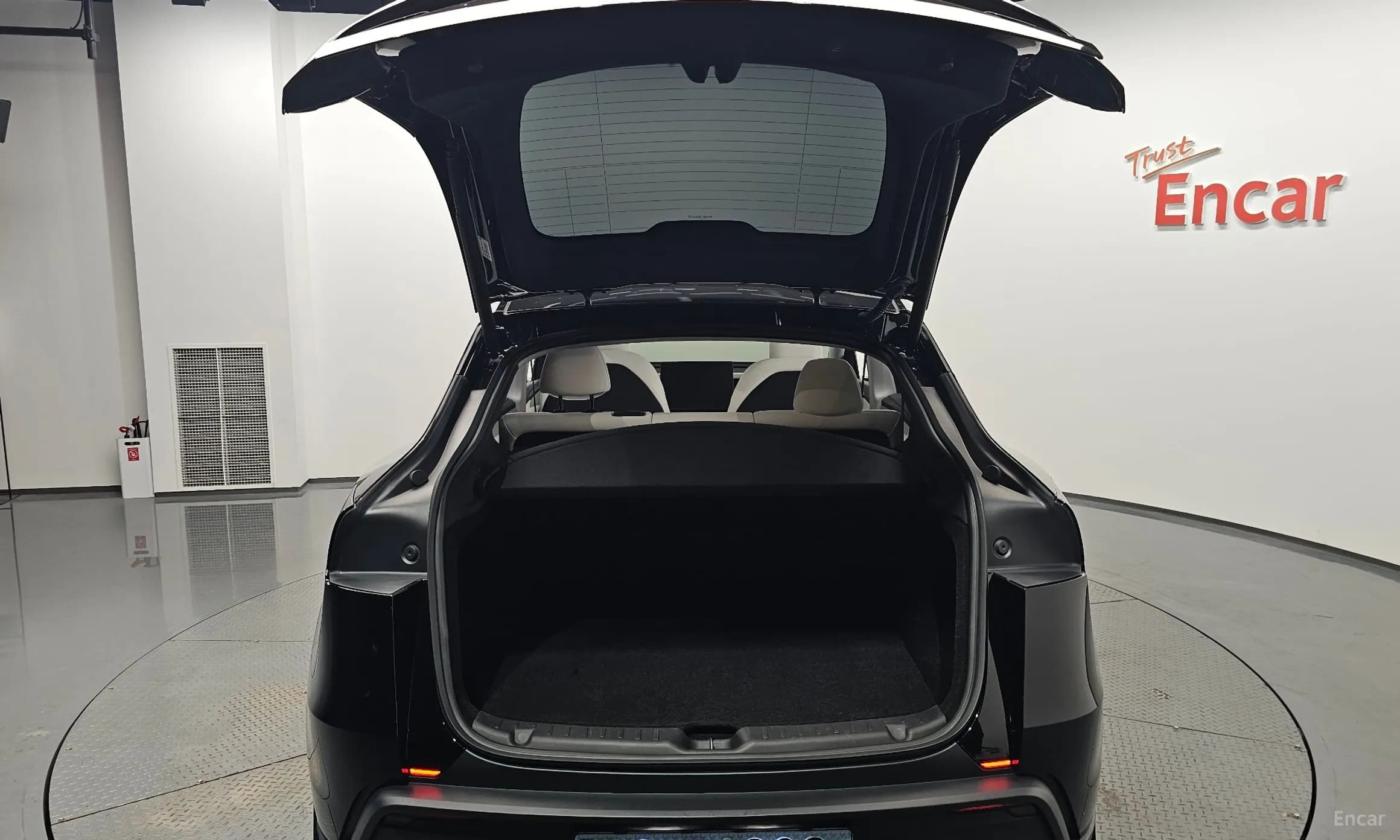 Model Y