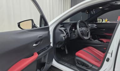 UX250h
