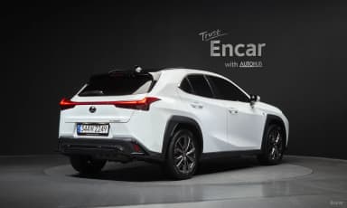 UX250h