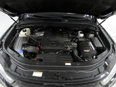 Rexton Sports