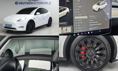 Model Y