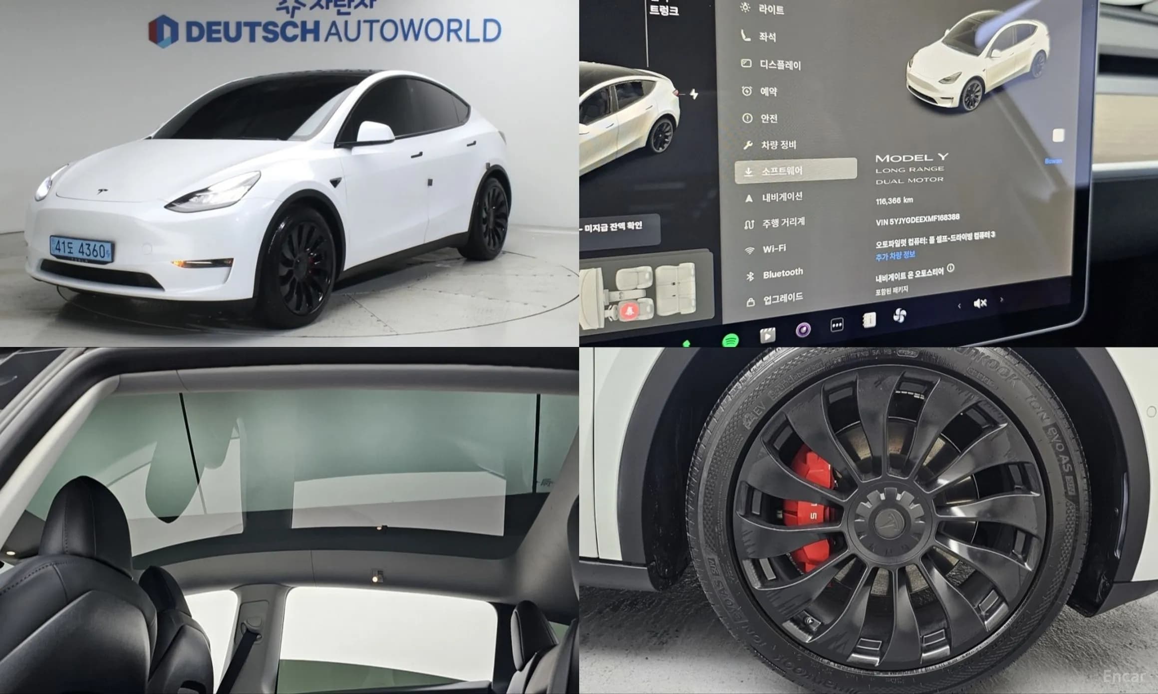 Model Y