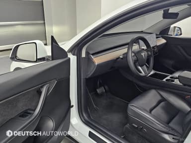 Model Y