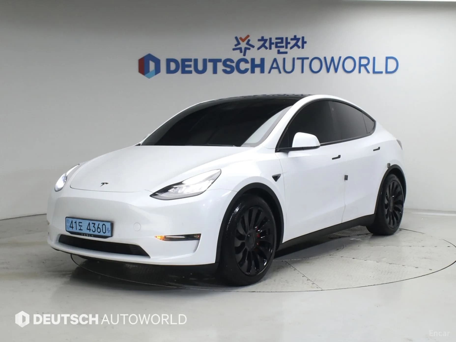 Model Y