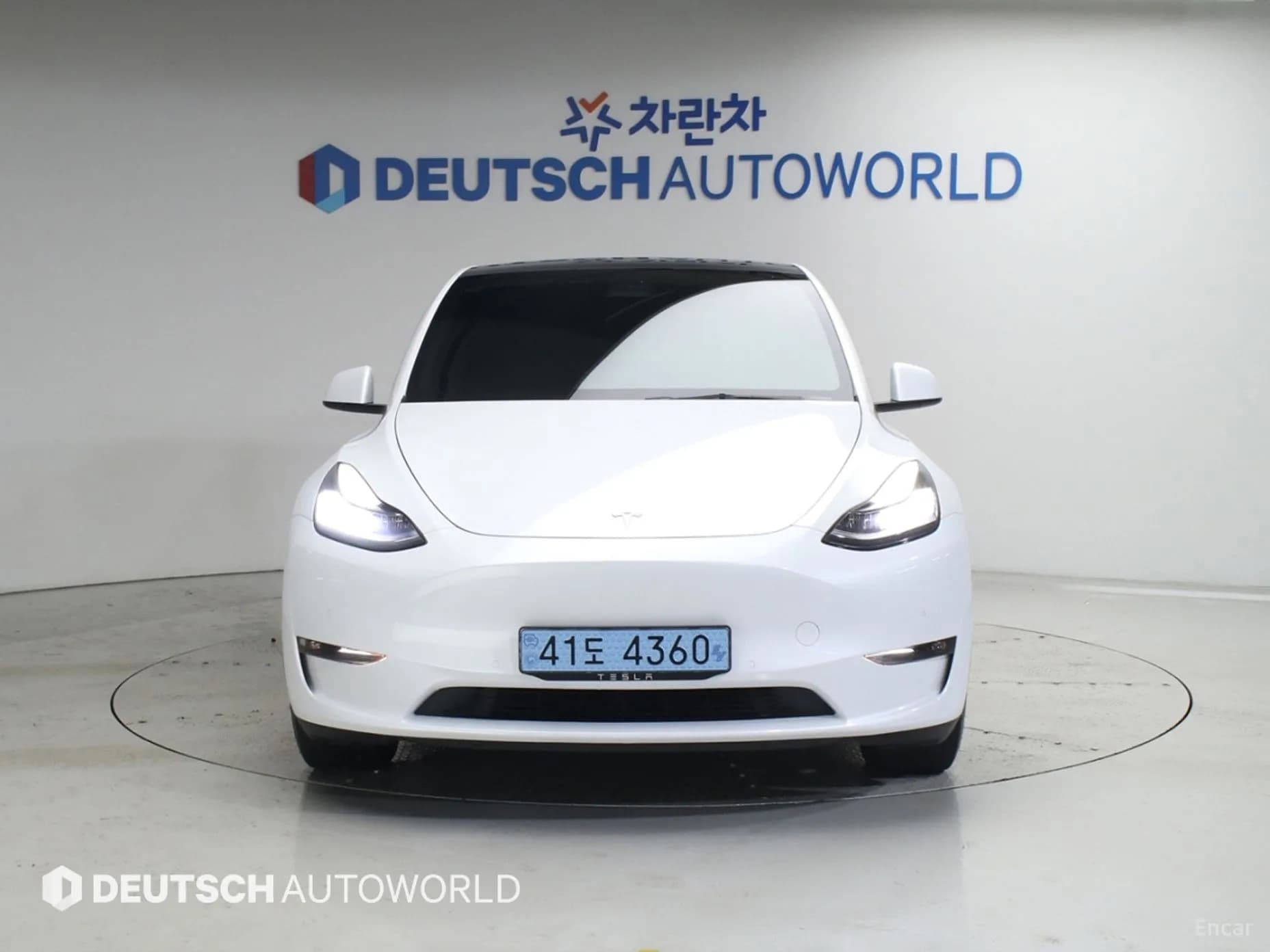 Model Y