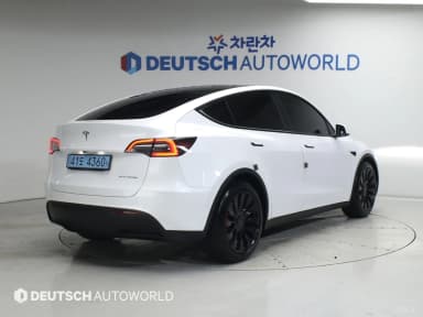 Model Y