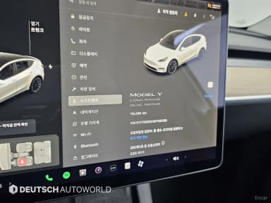 Model Y