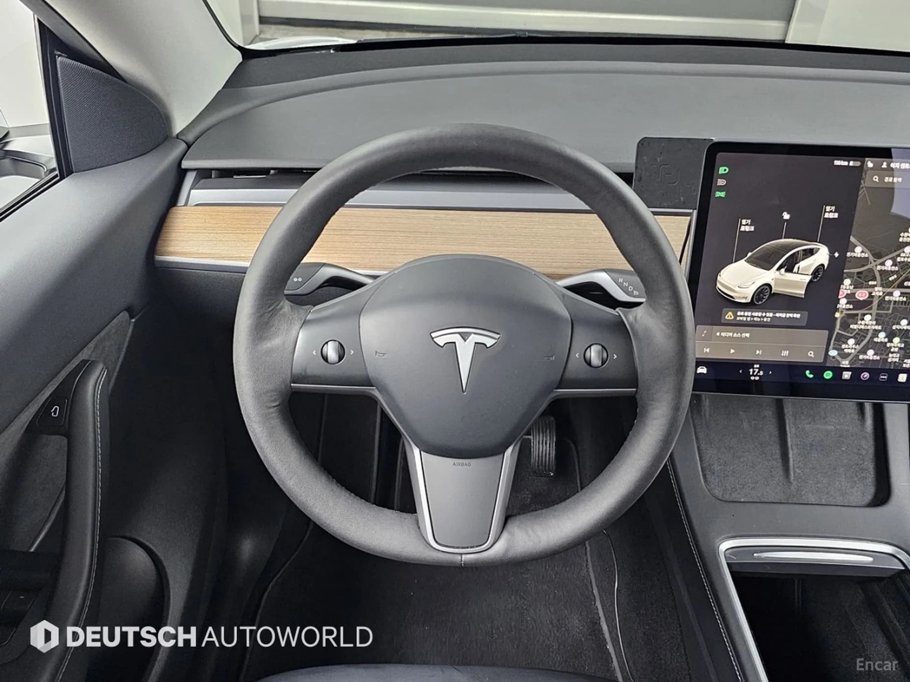 Model Y
