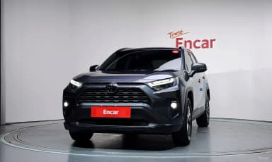 RAV4 5th Generation