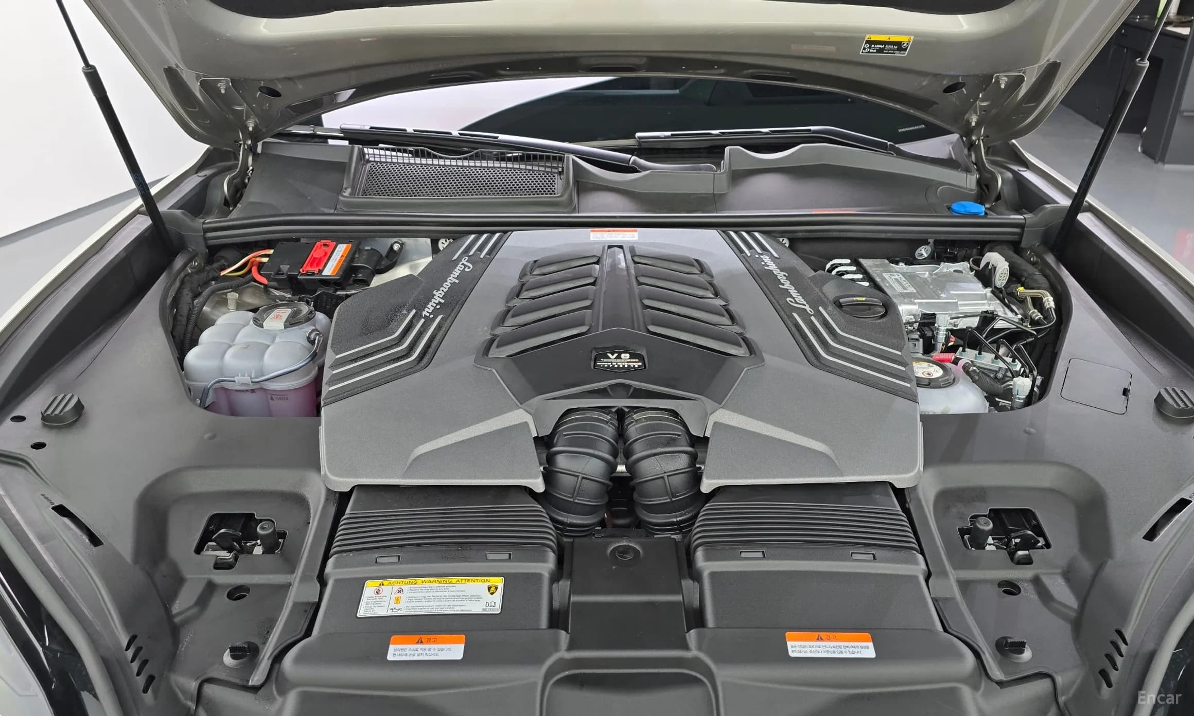 Urus