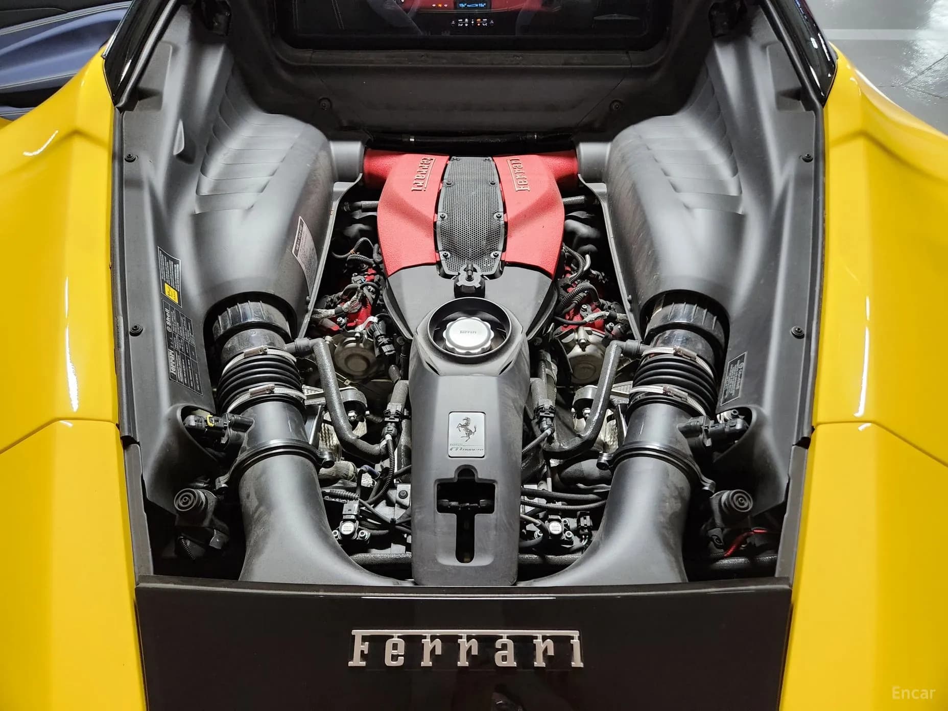 F8 Tributo