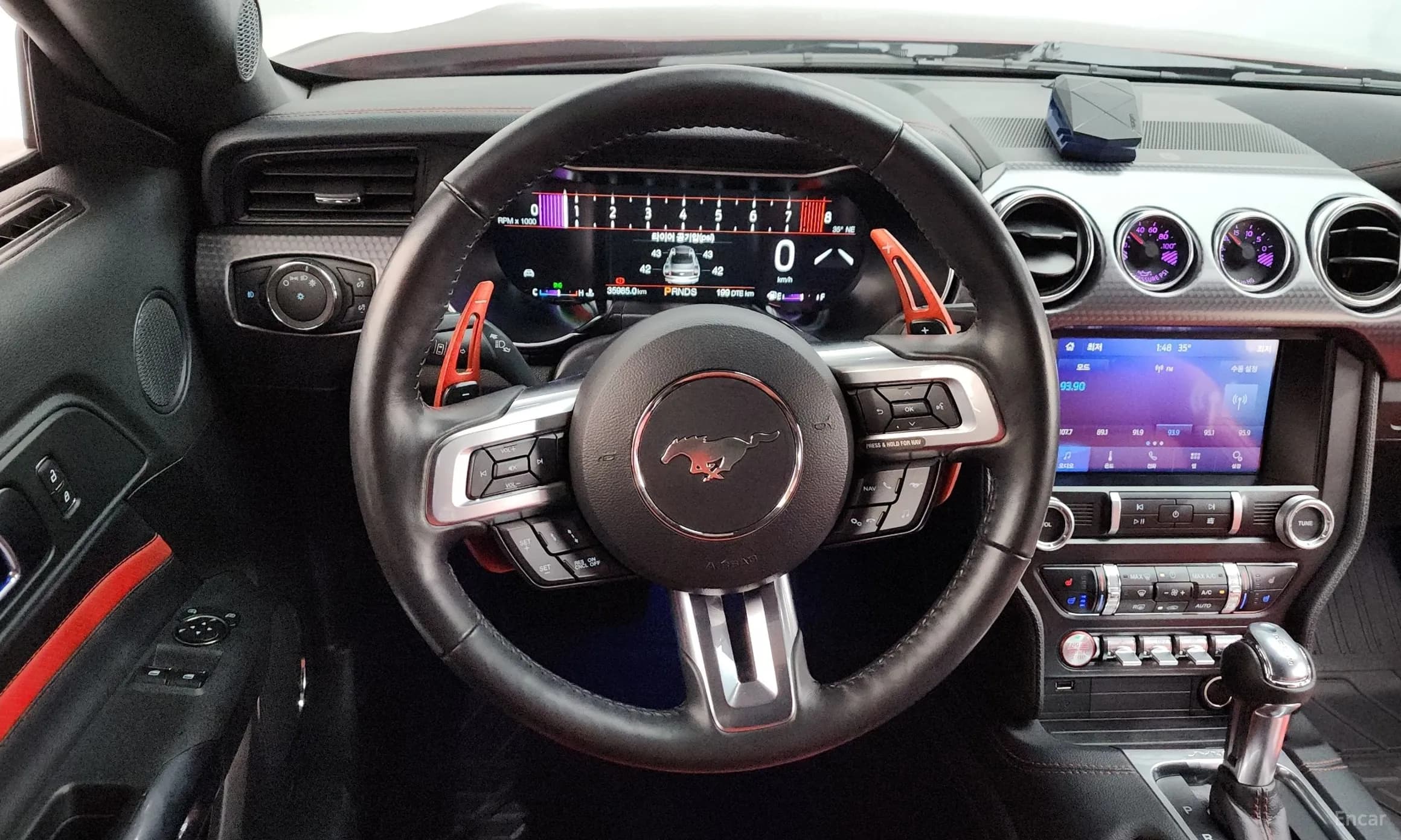 Mustang