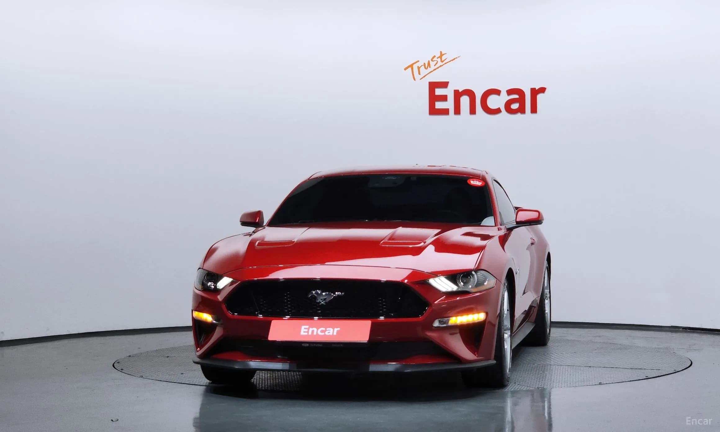 Mustang