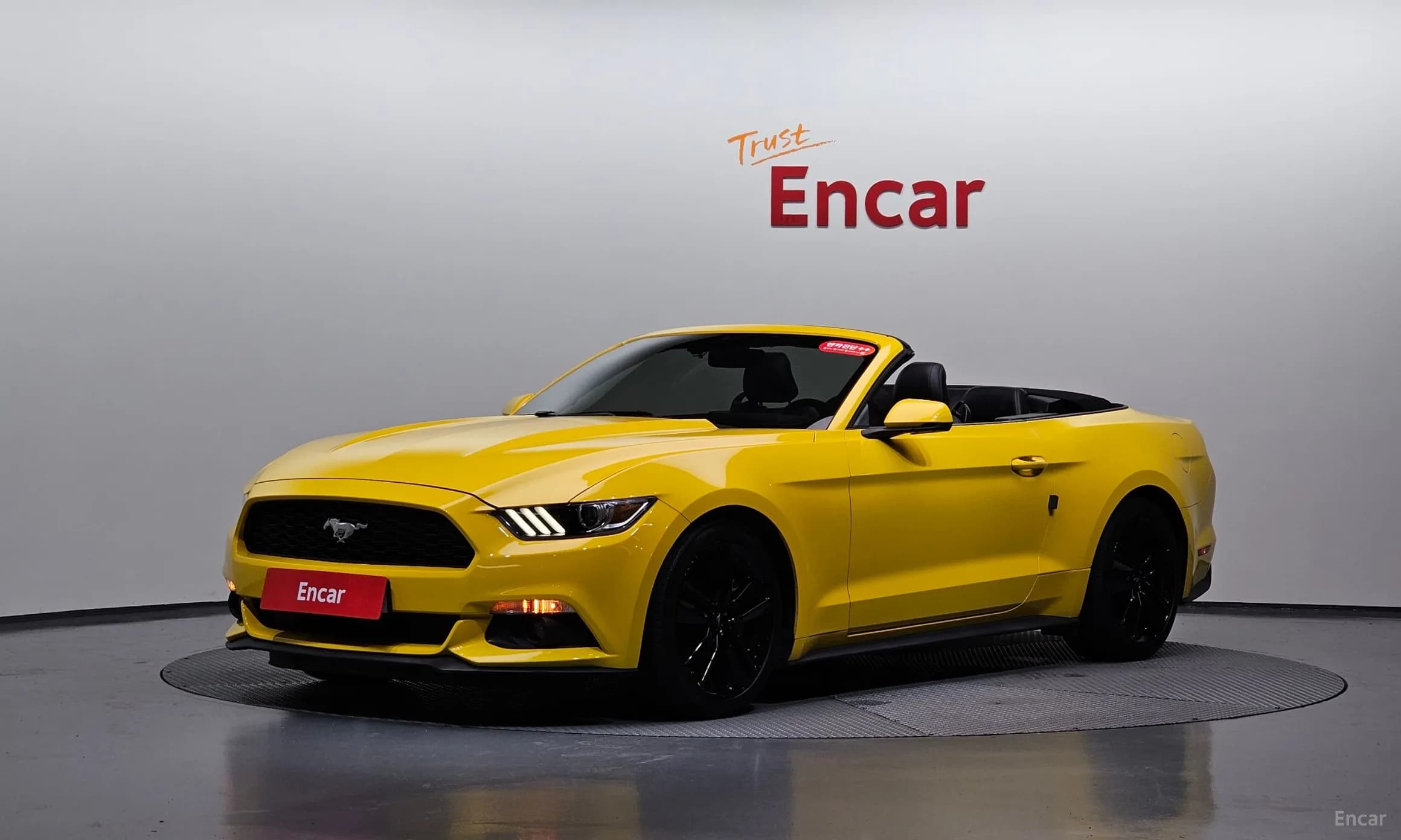Mustang