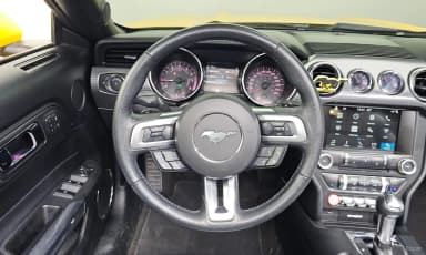 Mustang
