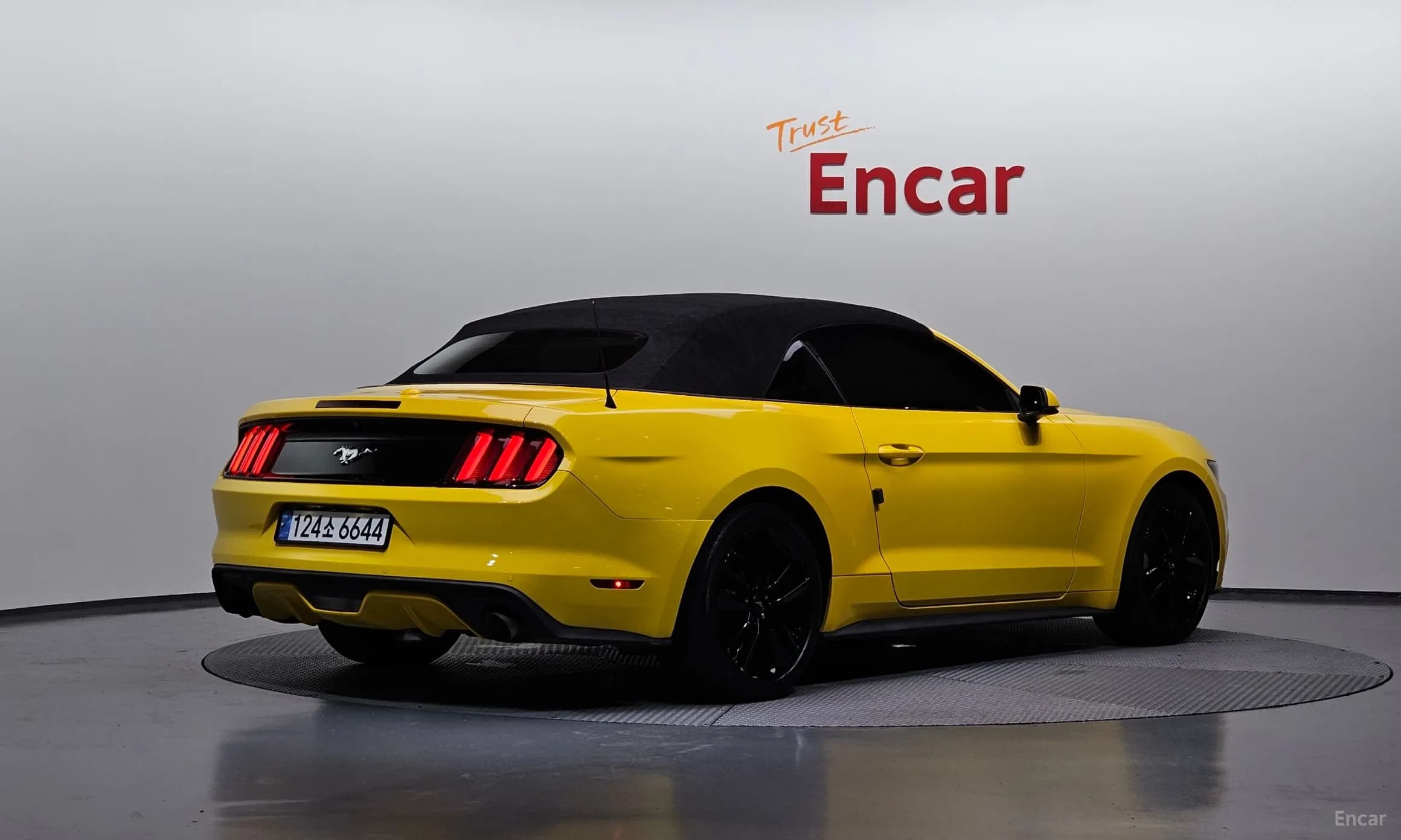 Mustang