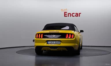 Mustang