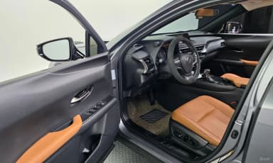 UX250h