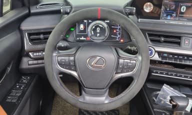 UX250h