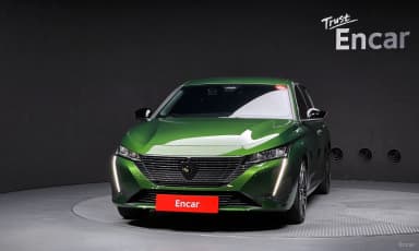 308 Third Generation