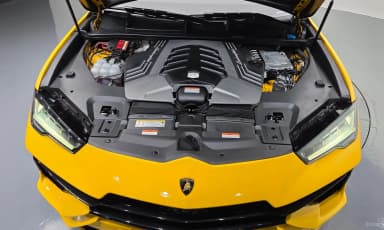 Urus