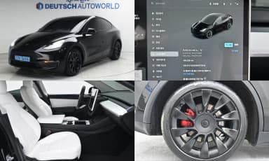 Model Y