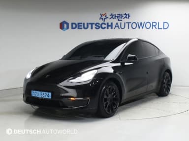 Model Y