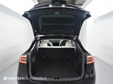 Model Y