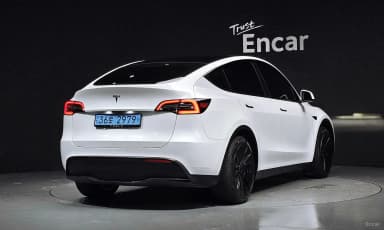 Model Y