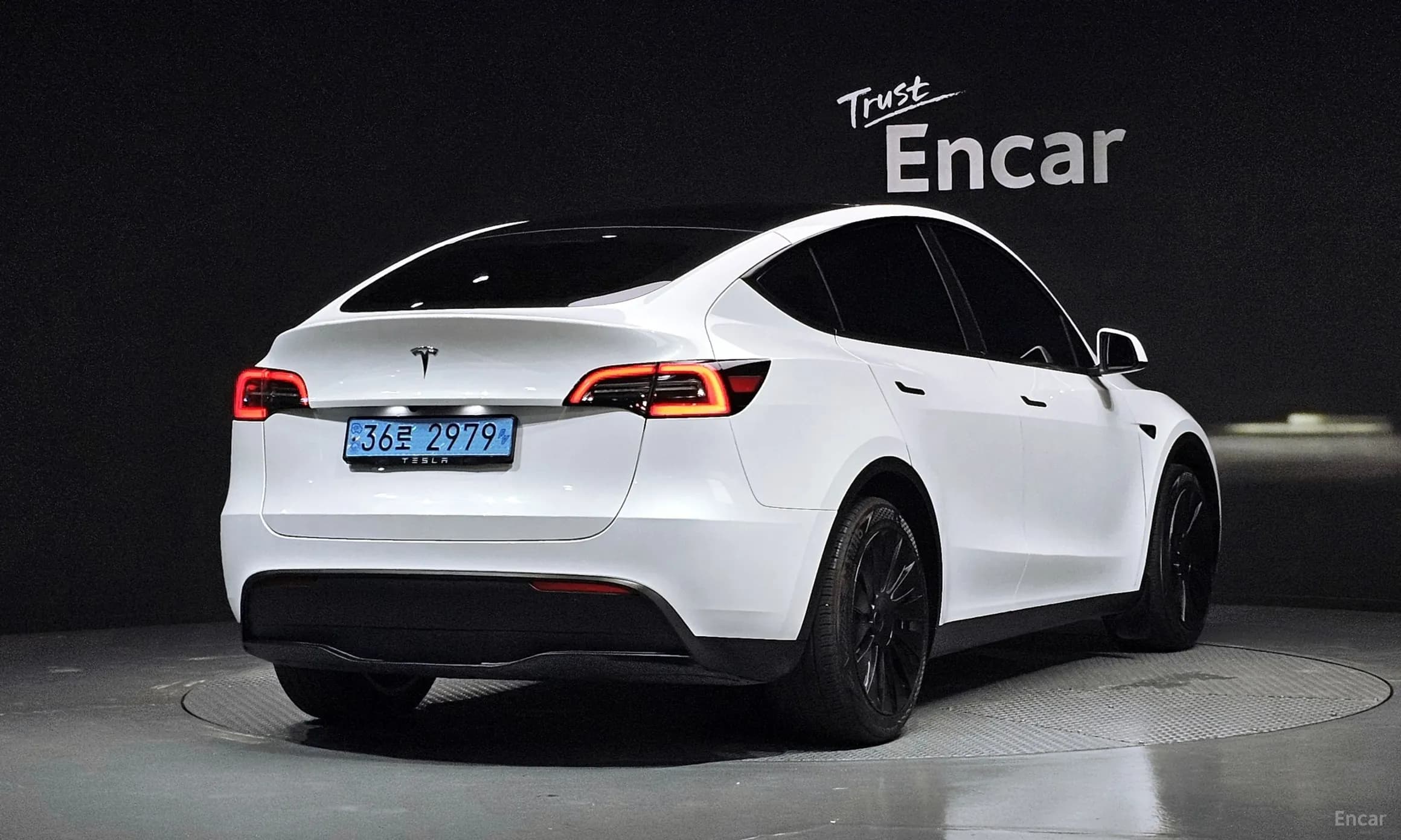 Model Y